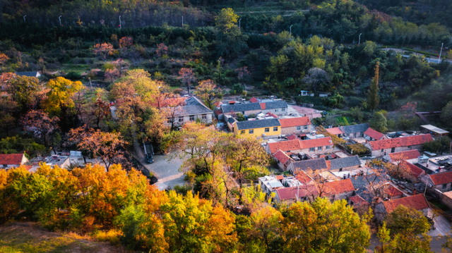 别了，威海的秋天！这些画面值得珍藏一整年