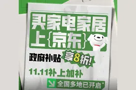 京东11.11遇上政府补贴“补上加补” ，网友晒单京东家电消费千元优惠图片