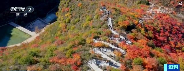 “两节”机票预订迎高峰，小众目的地与“赏秋”主题受青睐，跨境游热度攀升