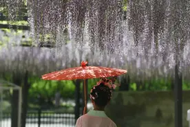 北京首次发布“公园治愈指南” 30处清幽空间等您来“发呆”图片