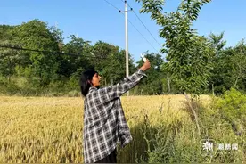 “超模”开口变“馏馍”，小黑妮范梓鹤：我是地地道道的中国人图片