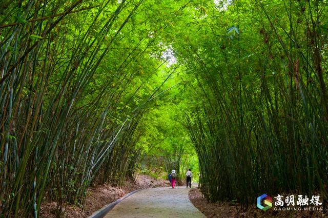 佛山第一峰焕新颜！皂幕山靠“多元体验”强势出圈