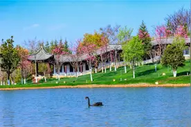 明起！云南大学向社会全面开放校园图片