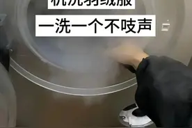 羽绒服、羊毛衫、毛呢大衣洗晒攻略来啦图片
