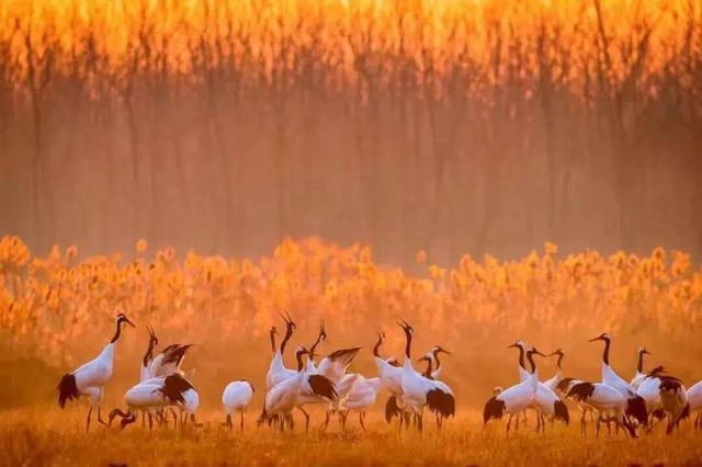 组图|黄海1号，331公里的秋日画廊