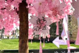 樱花树下 赏花客纷纷许下心愿图片