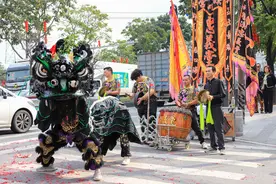【视频+图集】锣鼓齐鸣，共贺元宵！广州白云多村醒狮齐聚展雄风图片