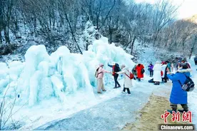 （新春走基层）陕西铁路春运“复兴号”动车组旅游列车开行图片