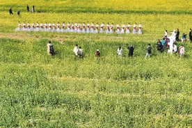 邹平：花开西董春光好图片