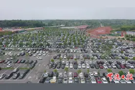 常德野生动物世界“五一”假实现门票收入3300万元图片