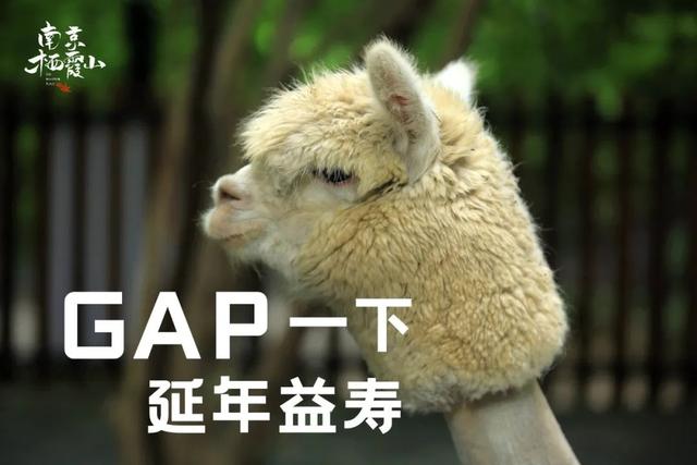 青春没有售价！通知书可抵票价~