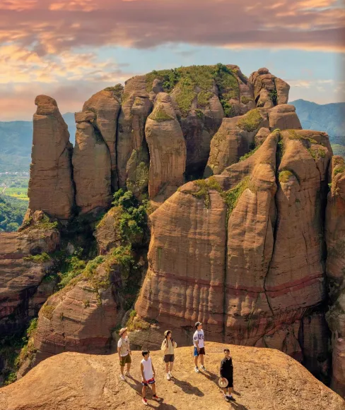 弋阳这片红杉林已上线“顶配冬日皮肤”，暖到心坎里！