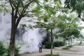 新学期第一份“作业”！图片