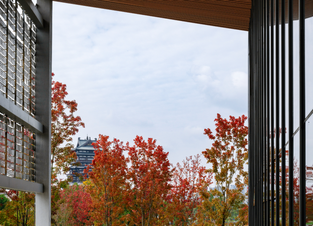 绝美！成都红枫进入最佳观赏期！线路来啦