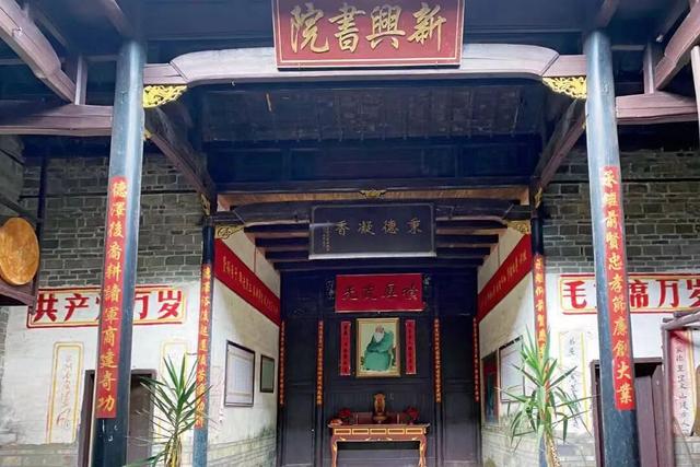 【遂川乡村游】“不去衙前看猛楠，游遍遂川也枉然”附新江古树秘境