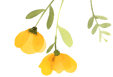 深耕金秋文旅资源，沂水秋季旅游市场热度攀升