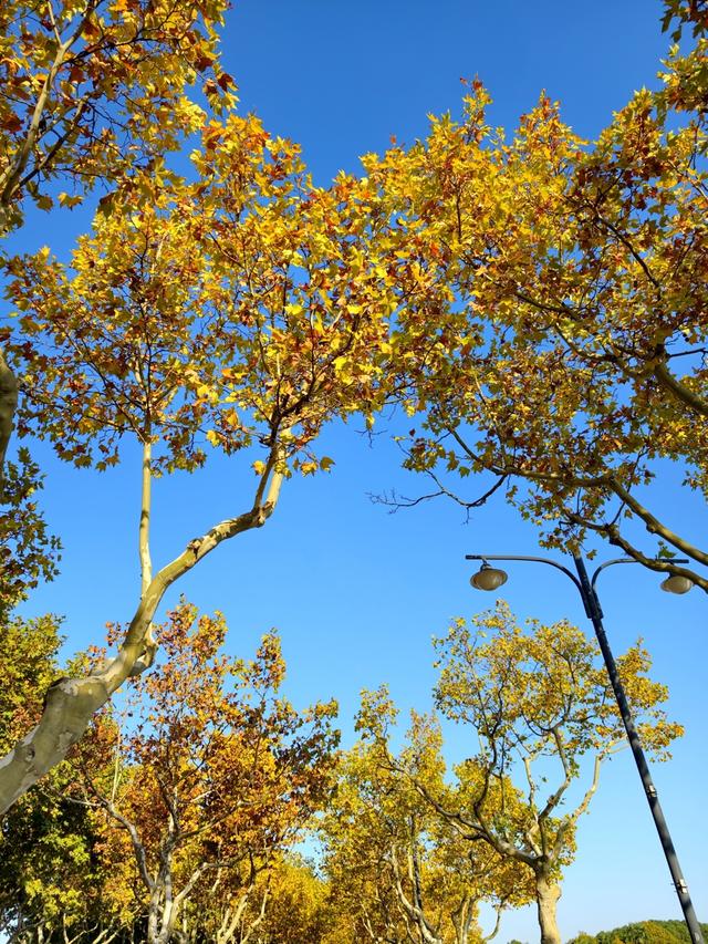 降温前的惬意周末 蓝天夕阳无限好