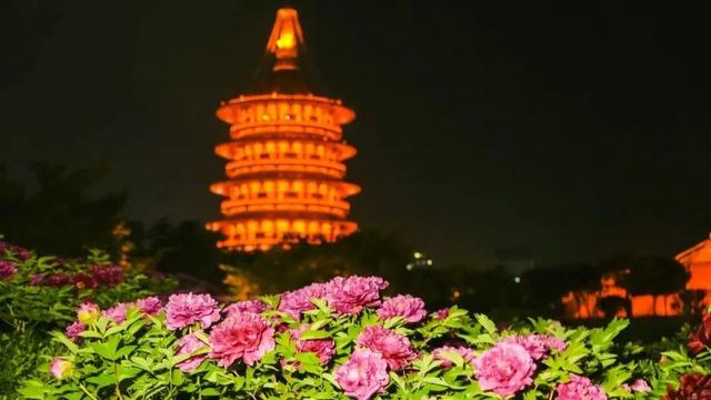 停！来存几个洛阳景点拍照打卡点位！