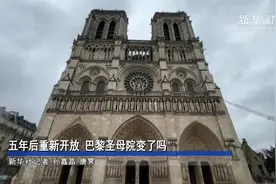 热点问答丨五年后重新开放，巴黎圣母院变了吗图片