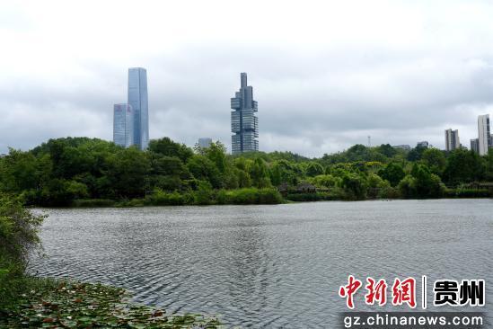 贵阳观山湖公园：“城市绿肺”生态美 秋景怡人引客来