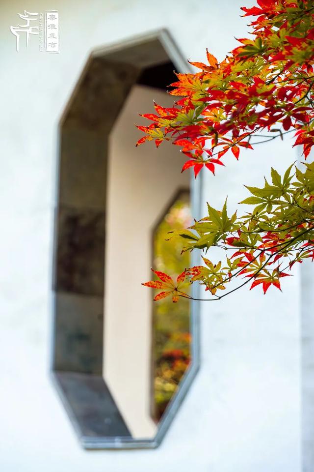 美“枫”了，快来赏！