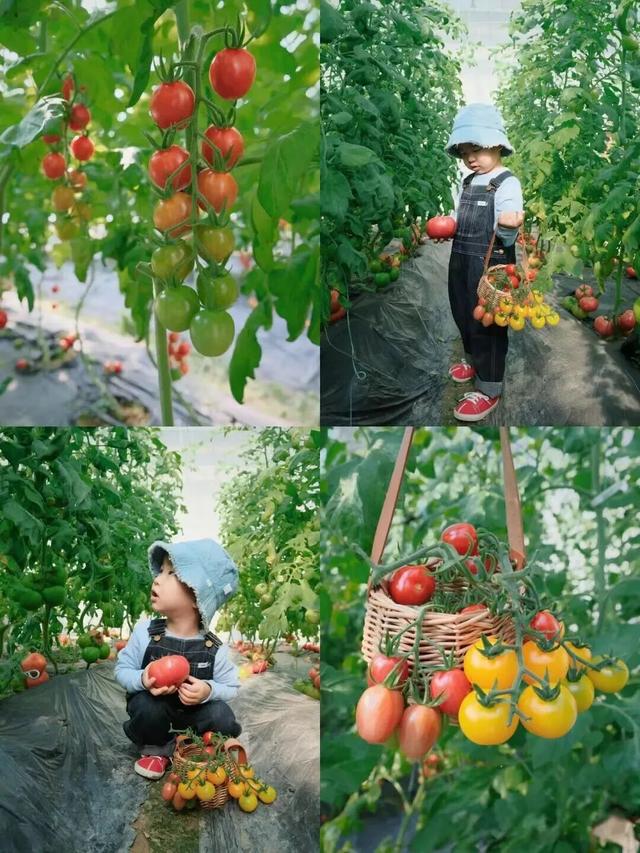 湛江“跨年礼包”已加载完毕，一键领取→