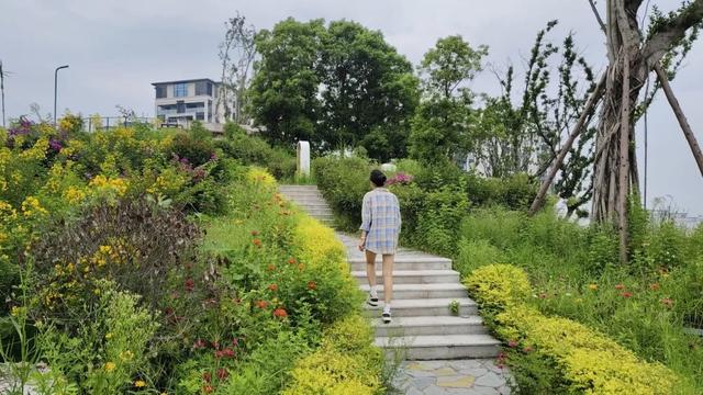 可赏景、慢跑、骑行……宜宾高品质城市绿道正在“上新”