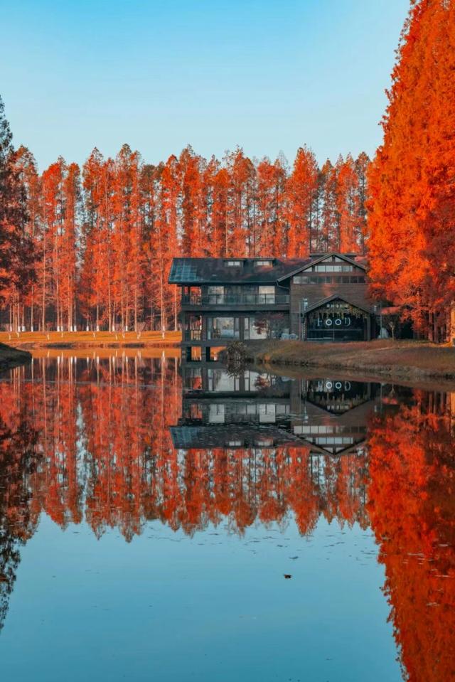 抓紧出发！错过就要等明年！