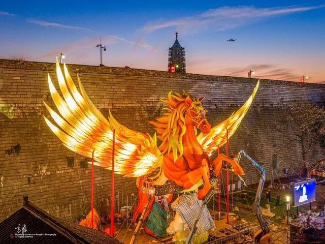 门东新“顶流”！一棵美到让全南京排队围观的树！