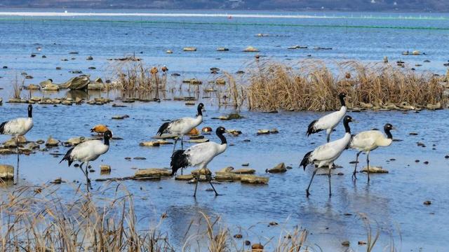 这个冬天，到贵州赴一场色彩之约