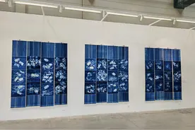 探寻植物里的“染色密码”图片