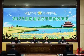 2025湖南油菜花节将于3月17日在岳阳等五地开幕图片