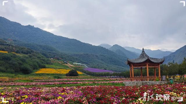 假期不知道去哪儿玩？海东金秋三大旅游路线，总有一条你中意！