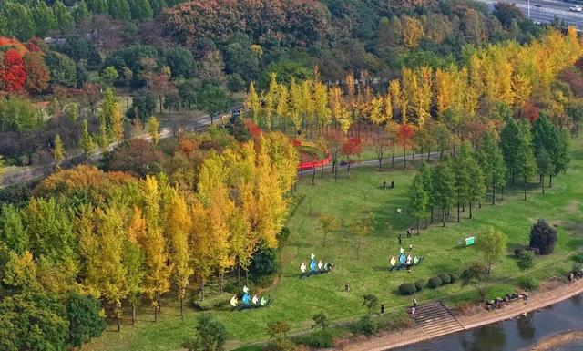 这样的六安，你见过吗？