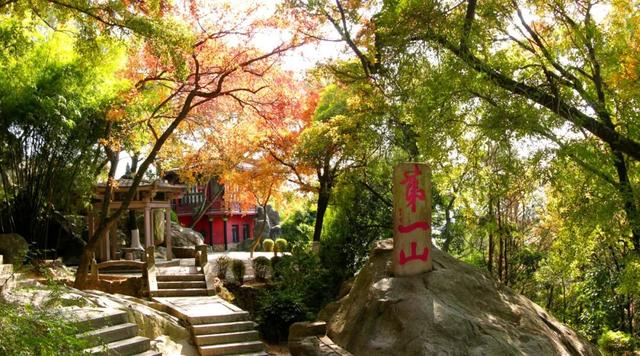 清源山上的枫树叶子红了