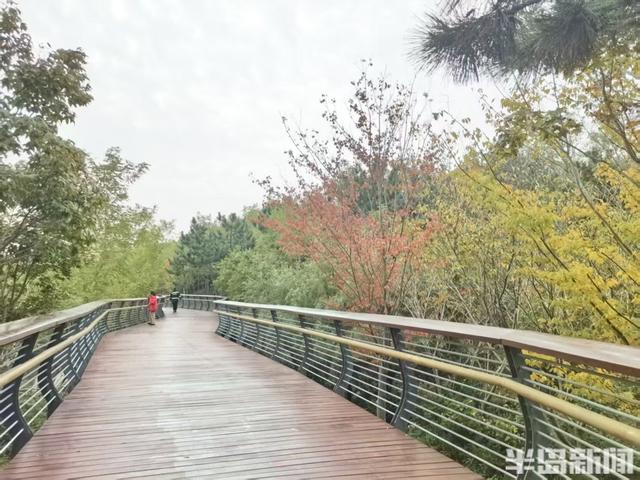 赏叶、看水、听鸟鸣……来青岛浮山森林公园，满足所有对秋天的想象