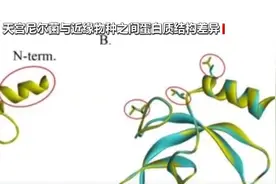 “天宫”添新客！空间站发现微生物新物种 期待探索更多太空生物奥秘图片