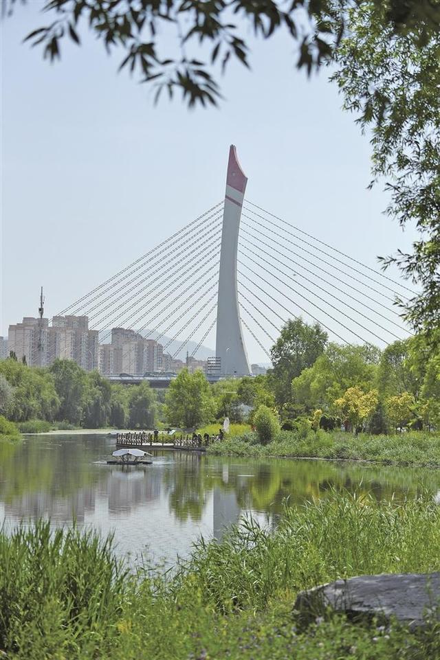 桥韵西宁：跨越时光的城市乐章