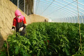 把民意办满意！永宁县两年累计为群众办妥562件民生实事图片