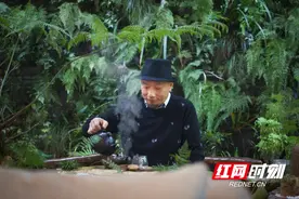陈军：从事花卉事业，始终在路上图片