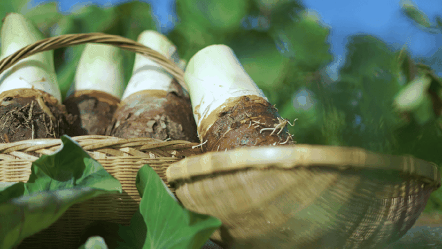 提到家乡韶关，张颂文就是那么“傲娇”！