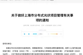 利好突袭！上海重磅发布！分布式光伏行业正密集迎来政策利好图片