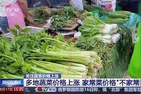 高温多雨致菜价上涨 各地多措保障蔬菜 “鲜”到餐桌图片