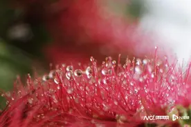 芳华！这青葱朝气里有你吗？广州大学城20年影像结集图片