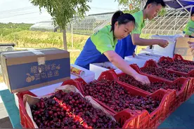 菜鸟速递回应生鲜平价寄：时效控制在48小时内 让成本可控图片