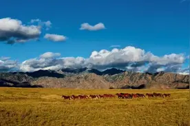 贺兰山：季风难度？半边江南半塞北！ | “我们的苍山翠岭”⑥图片