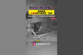 现实版鸠占鹊巢 一黑熊闯入美国居民房下安家图片