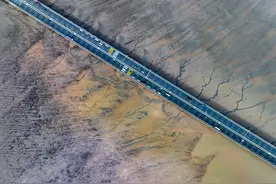 浙江嘉兴：钱塘江退潮后现“潮汐树”景观图片