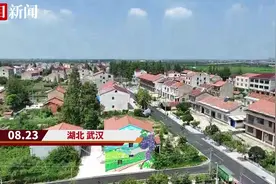 田园风光如诗画，武汉东西湖东山“城市农场”野趣足图片