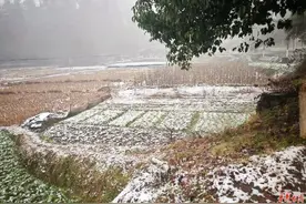 湖南降雪如期而至！今明两天范围继续扩大图片